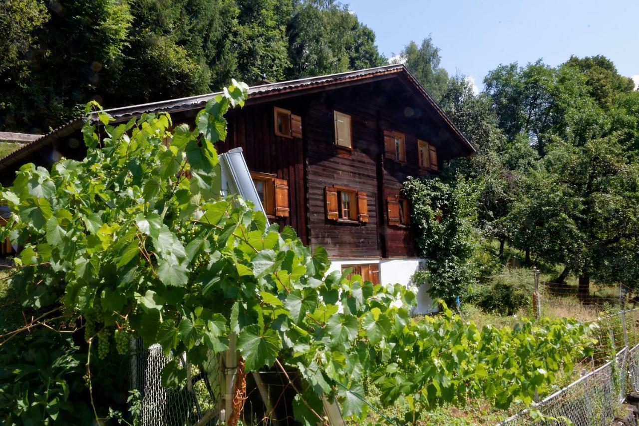 Landhaus Tenne Bartholomäberg 외부 사진
