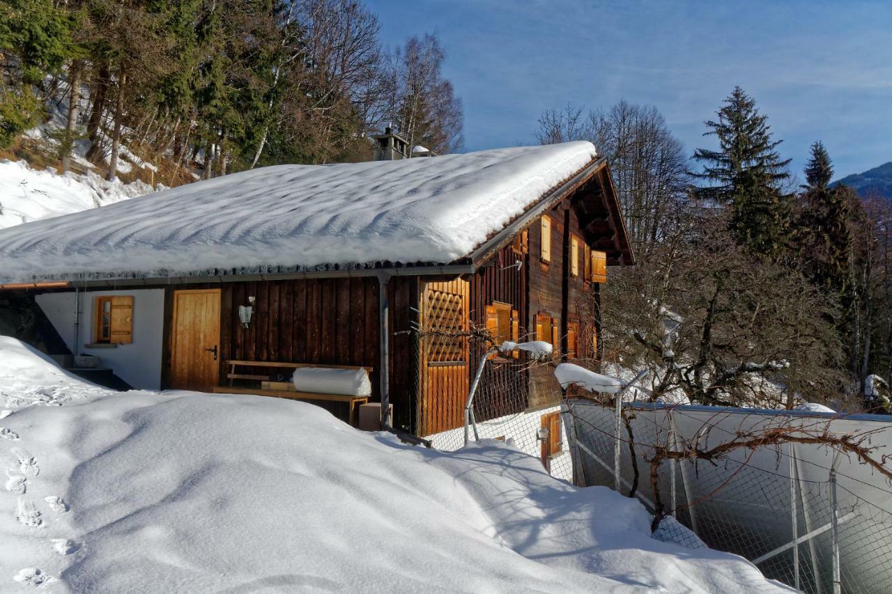 Landhaus Tenne Bartholomäberg 외부 사진